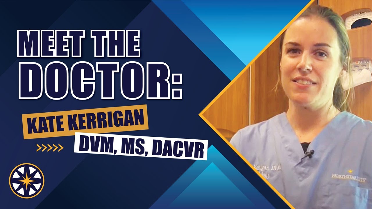 Meet the NorthStar VETS Team: Kate Kerrigan, DVM, MS, DACVR