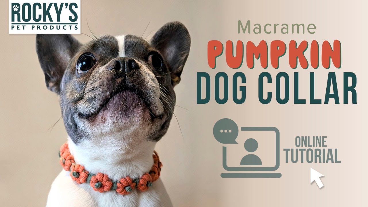 Macrame Pumpkin Dog Collar DIY Crafting Tutorial, Make Your Own Dog Collar Halloween and Fall Crafts