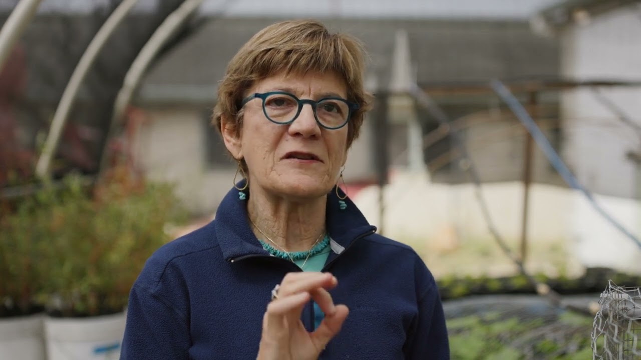 Integrated Aquaculture, led by Anne Kapuscinski