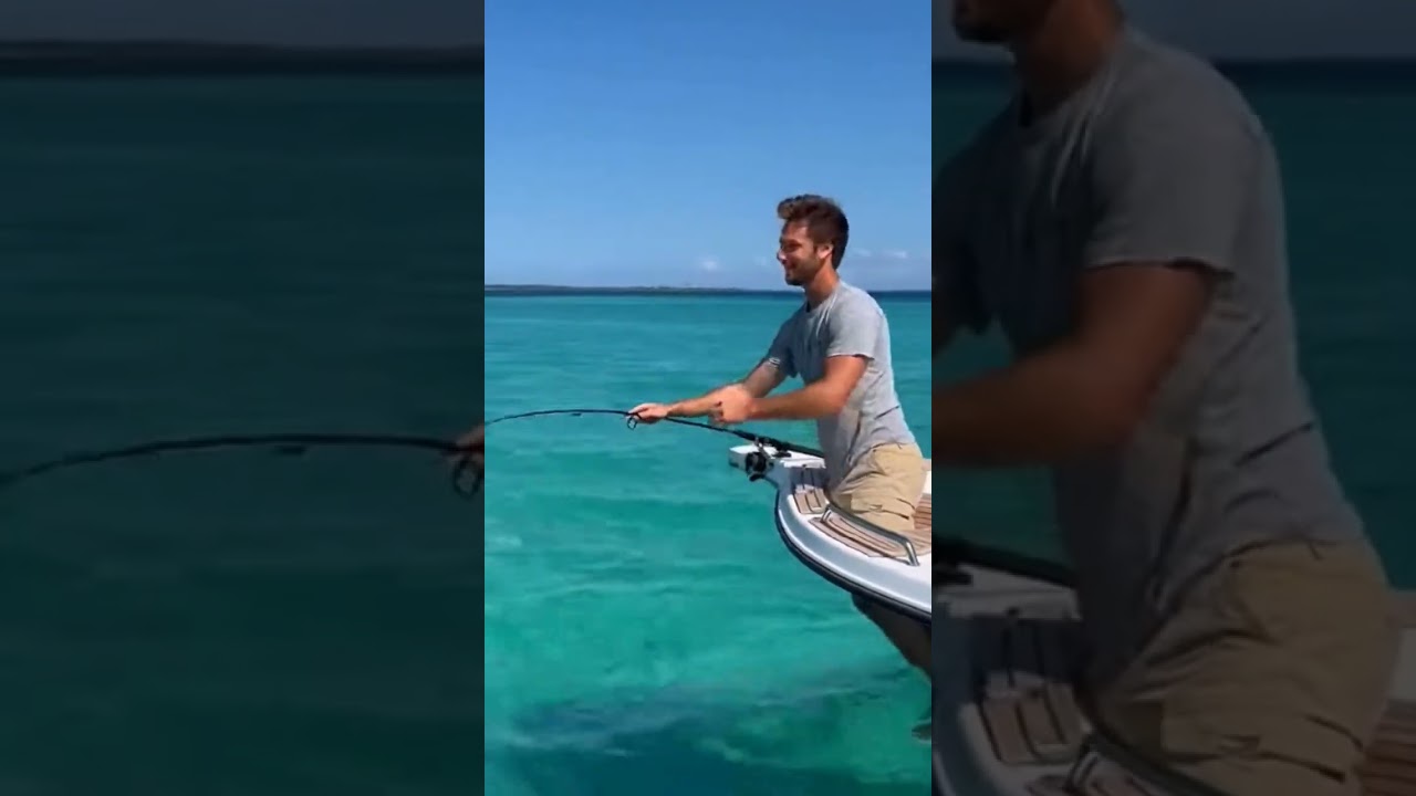 The shark attacked unexpectedly. 