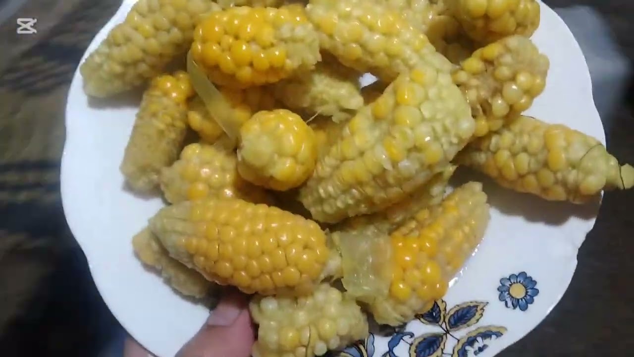 شهوة ديل لمسمان ديل البدية متشبعش منهم معند االكتامي هجرة ديرو المتابعة وشتراك فالقلب ++++