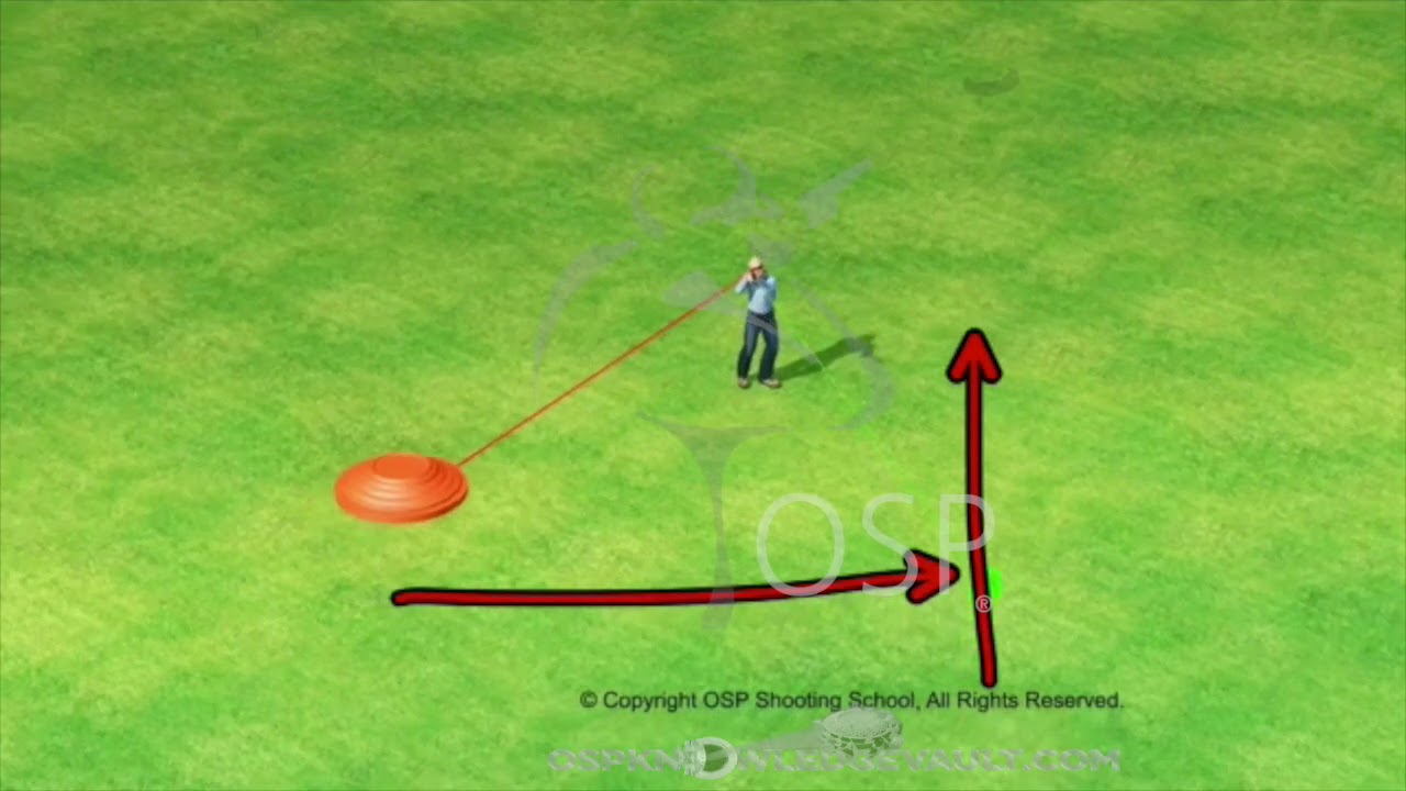 Wingshooting Tips: A Bird's Eye View