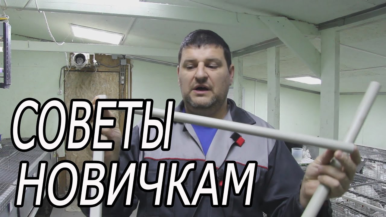Ниппельное поение для кроликов: трубы, подогрев, чистка, ниппеля.