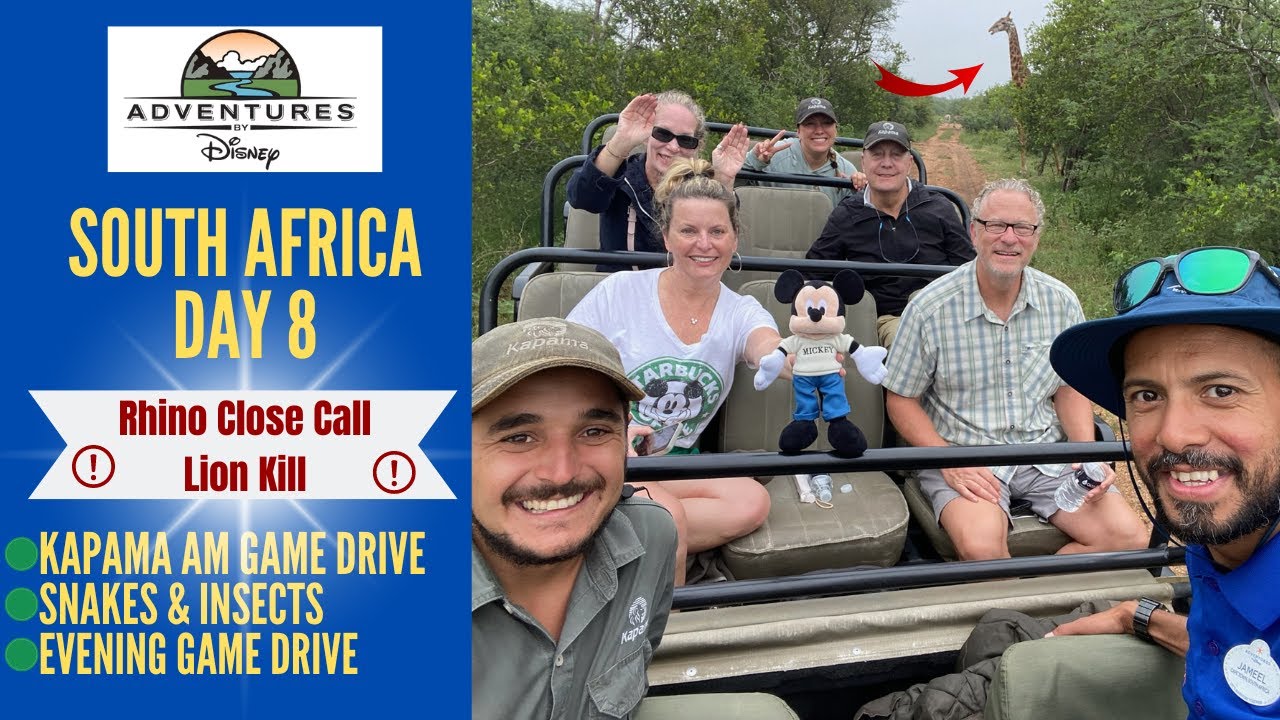 Adventures by Disney * SOUTH AFRICA * Day 8 * Kapama Game Reserve * Rhino Close Call * Lion Kill