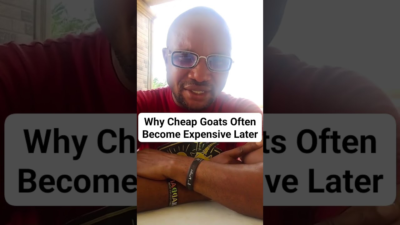 Why Cheap Goats Often Because Expensive Later 