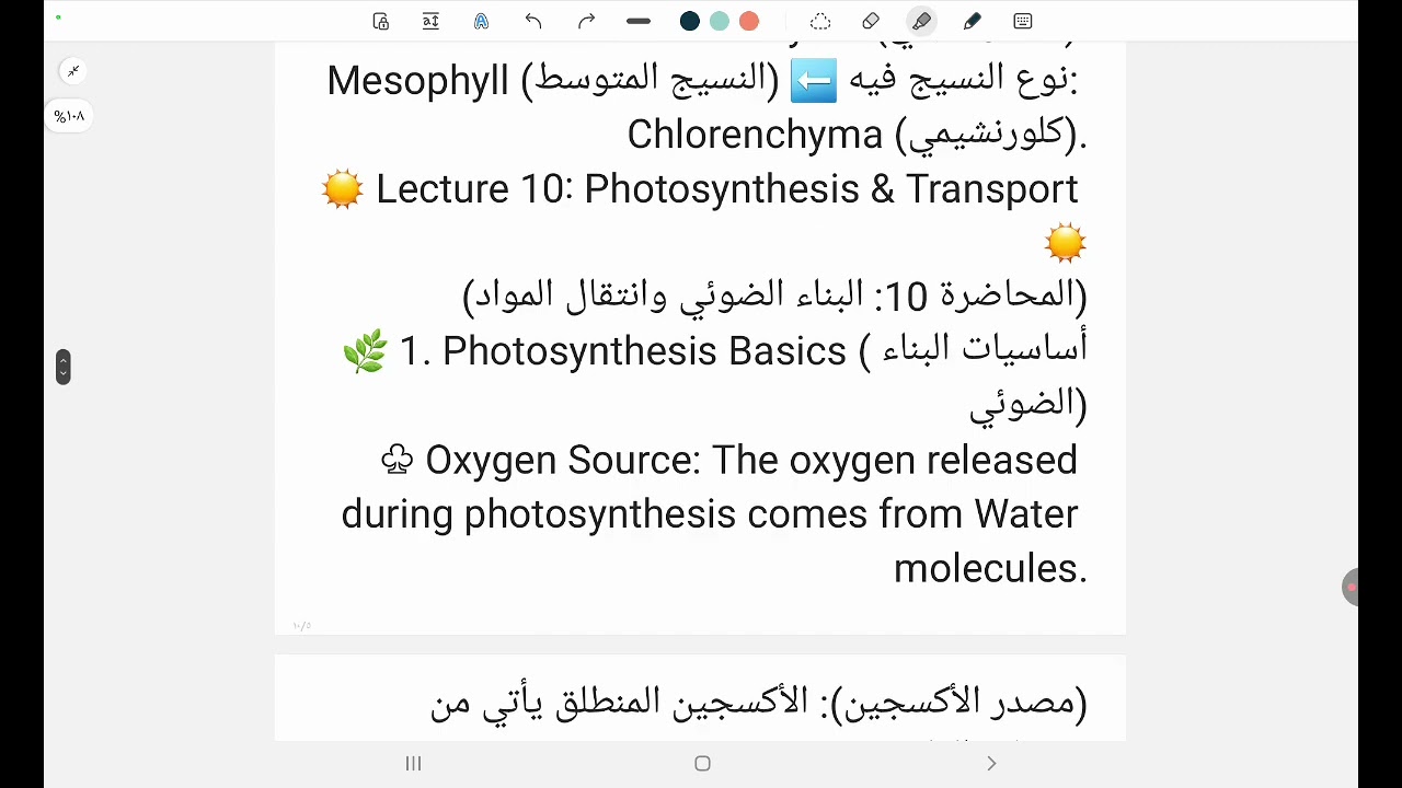 Botany summary Lec (9,10,11)