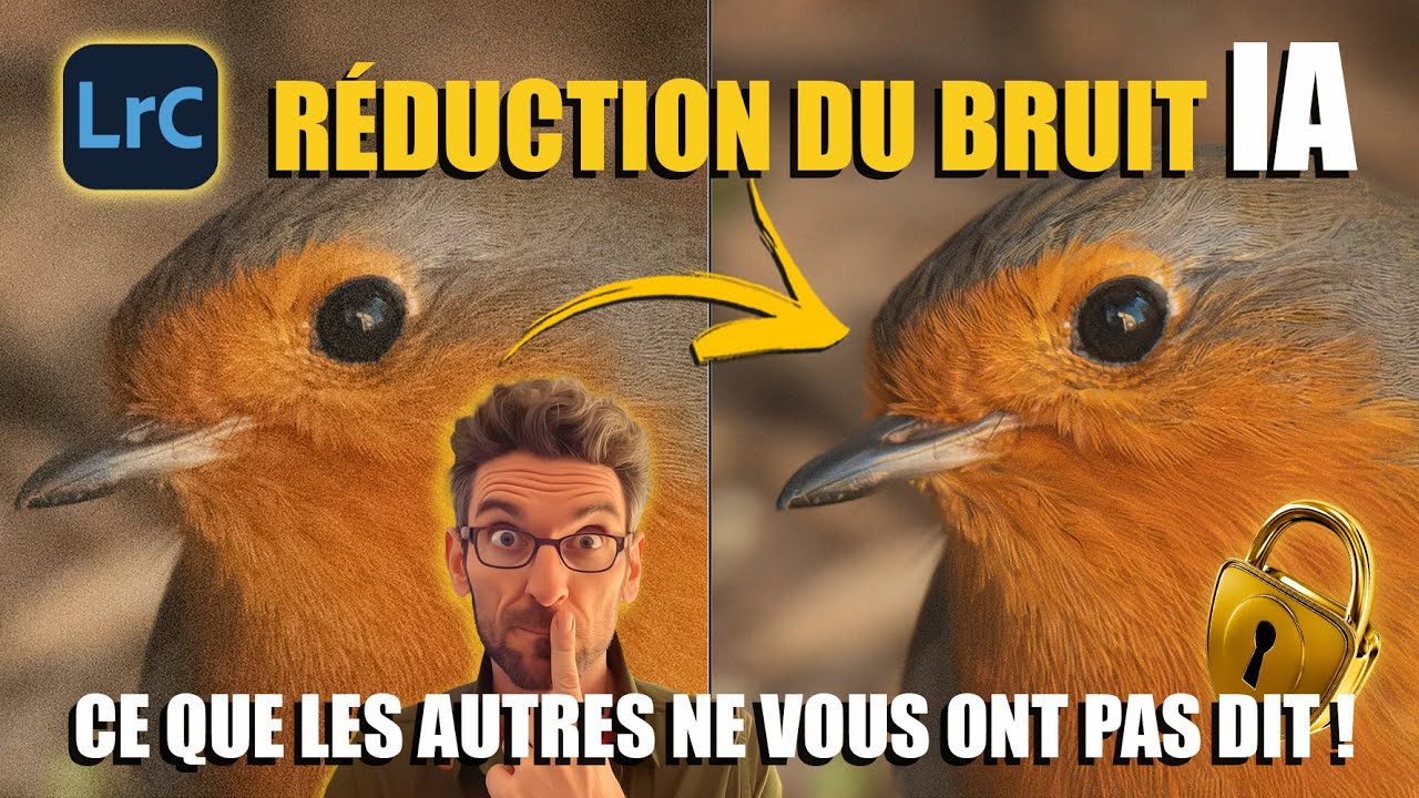 Réduction du BRUIT IA dans LIGHTROOM 2023 : ce que les autres ne vous ont pas dit !  🤫