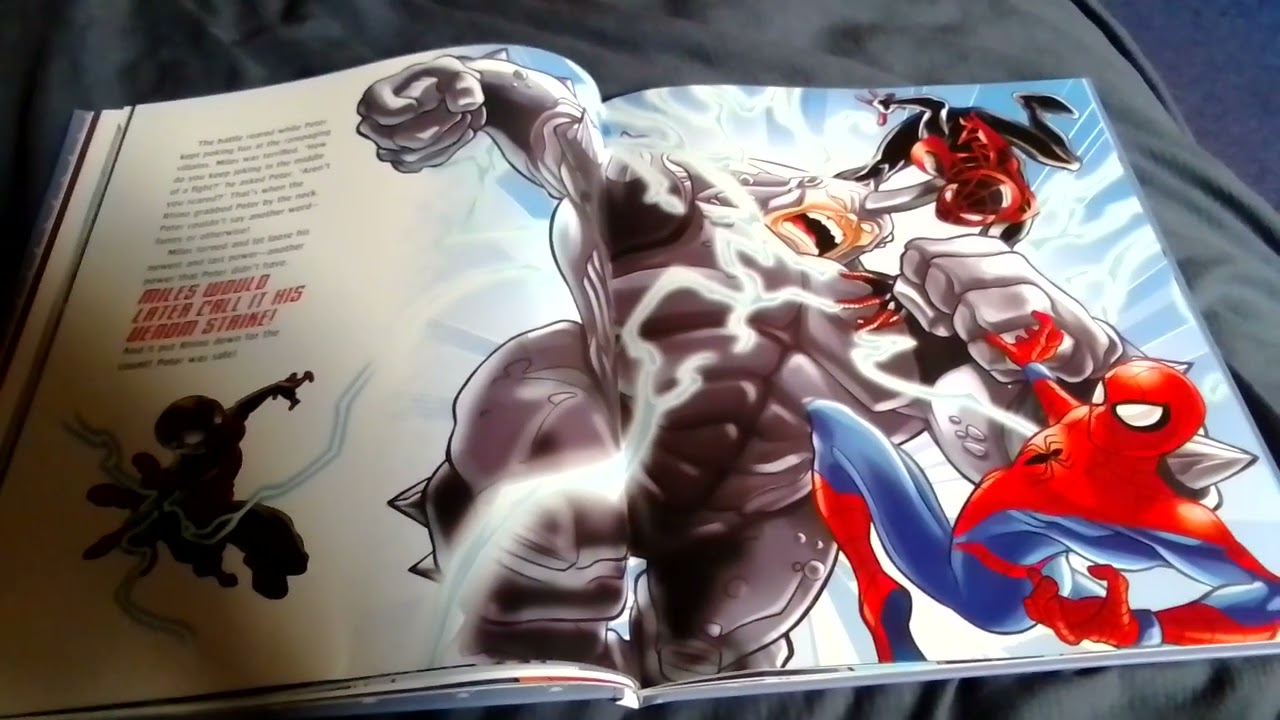 Miles Morales Spider Man.