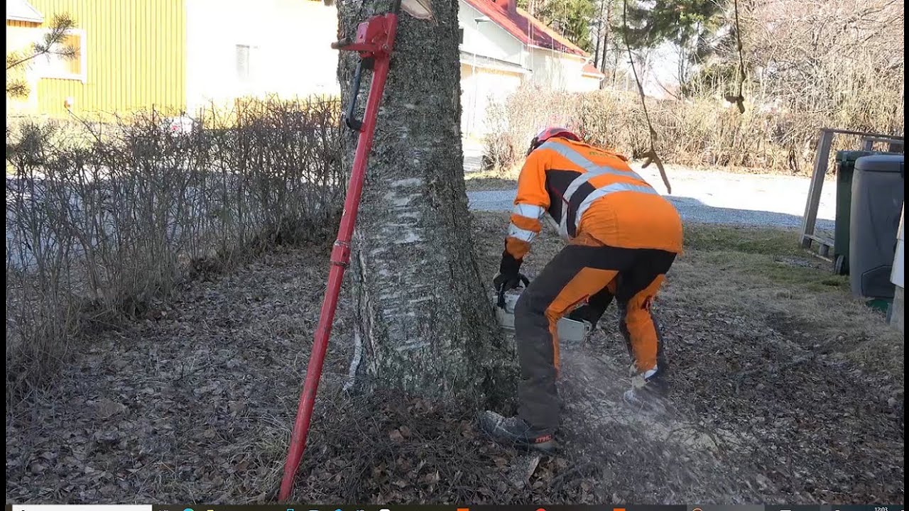 Metsolan Metsäkoulu 381 - Keikka johon muut tarjoojat ei kyenny