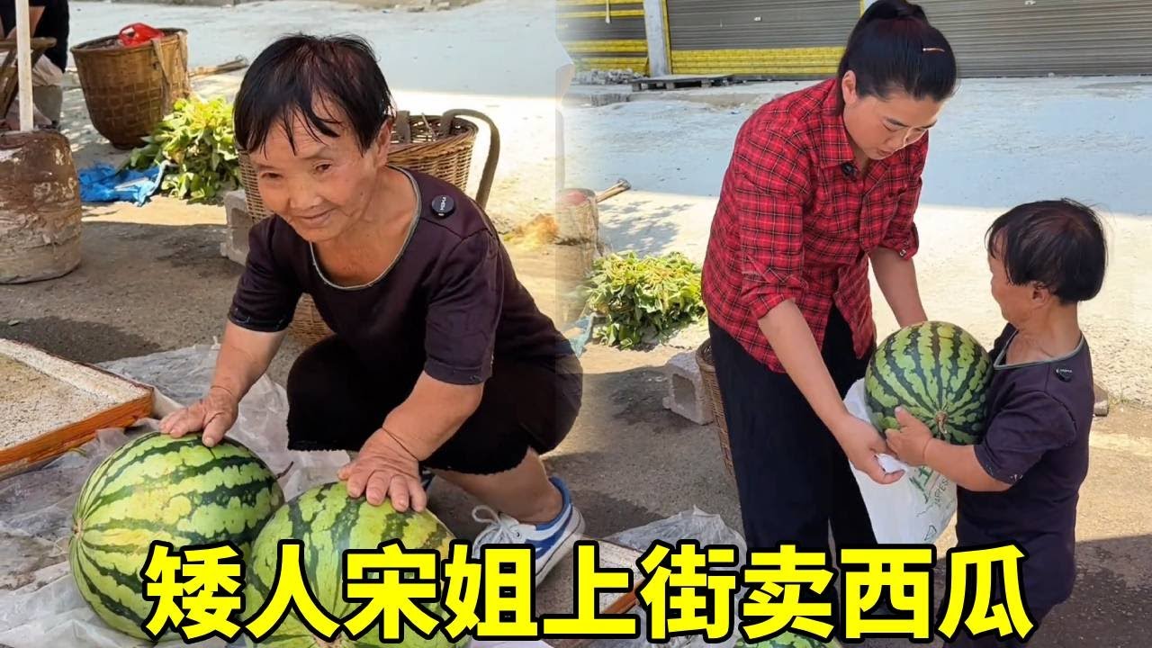 矮人宋姐上山卖西瓜，一元一斤的西瓜不一会就卖完了！#农村生活#袖珍人