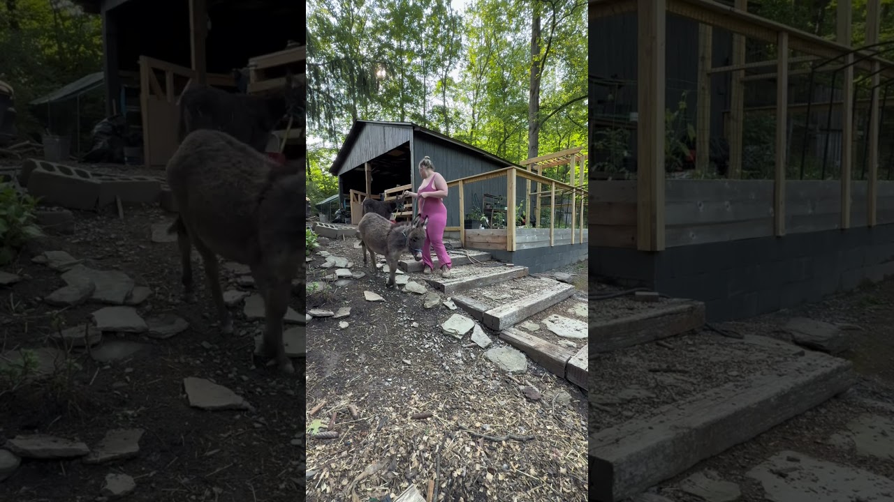Cozy cabin Mom chores