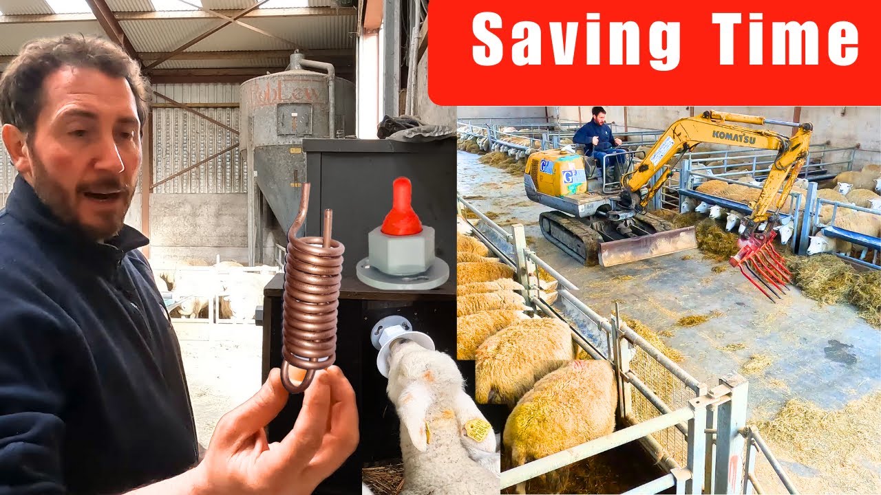Saving Lambs And Time - DIY Solutions