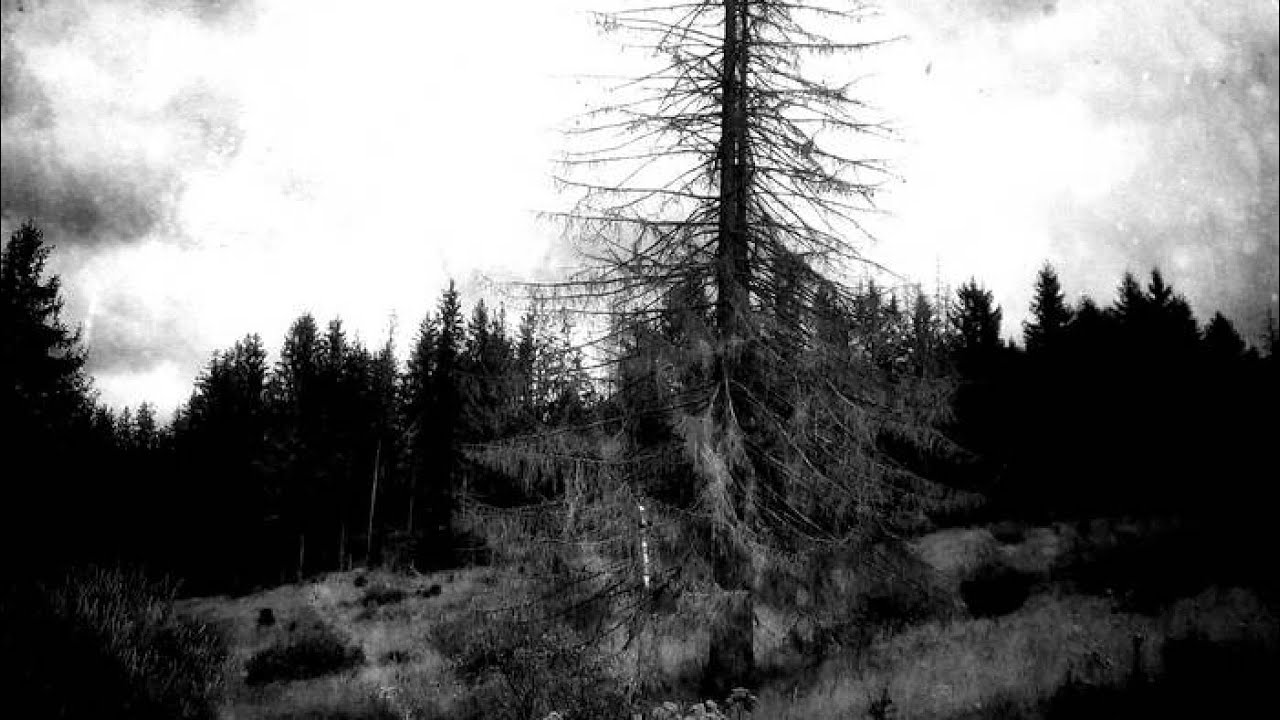 Shar'gul - The Frozen Path of the Carpathian Pines (Full Ep)