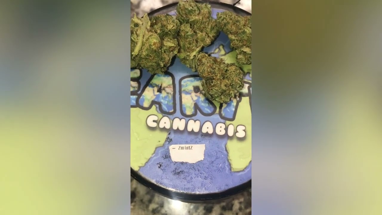 Z Mintz Strain Review (Smk Brk 420)
