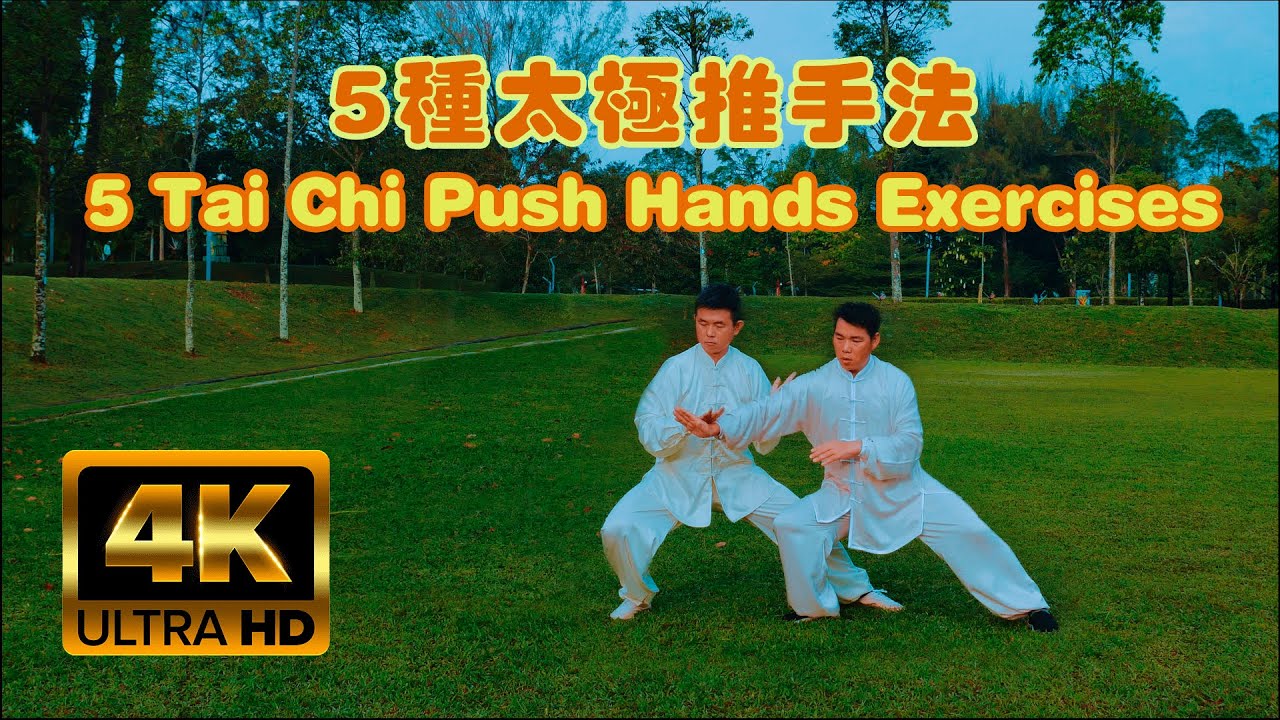 5 Tai Chi Push Hands Exercises 5种太极推手法