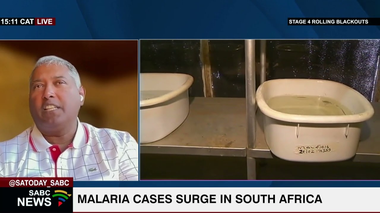 Malaria cases surge in South Africa