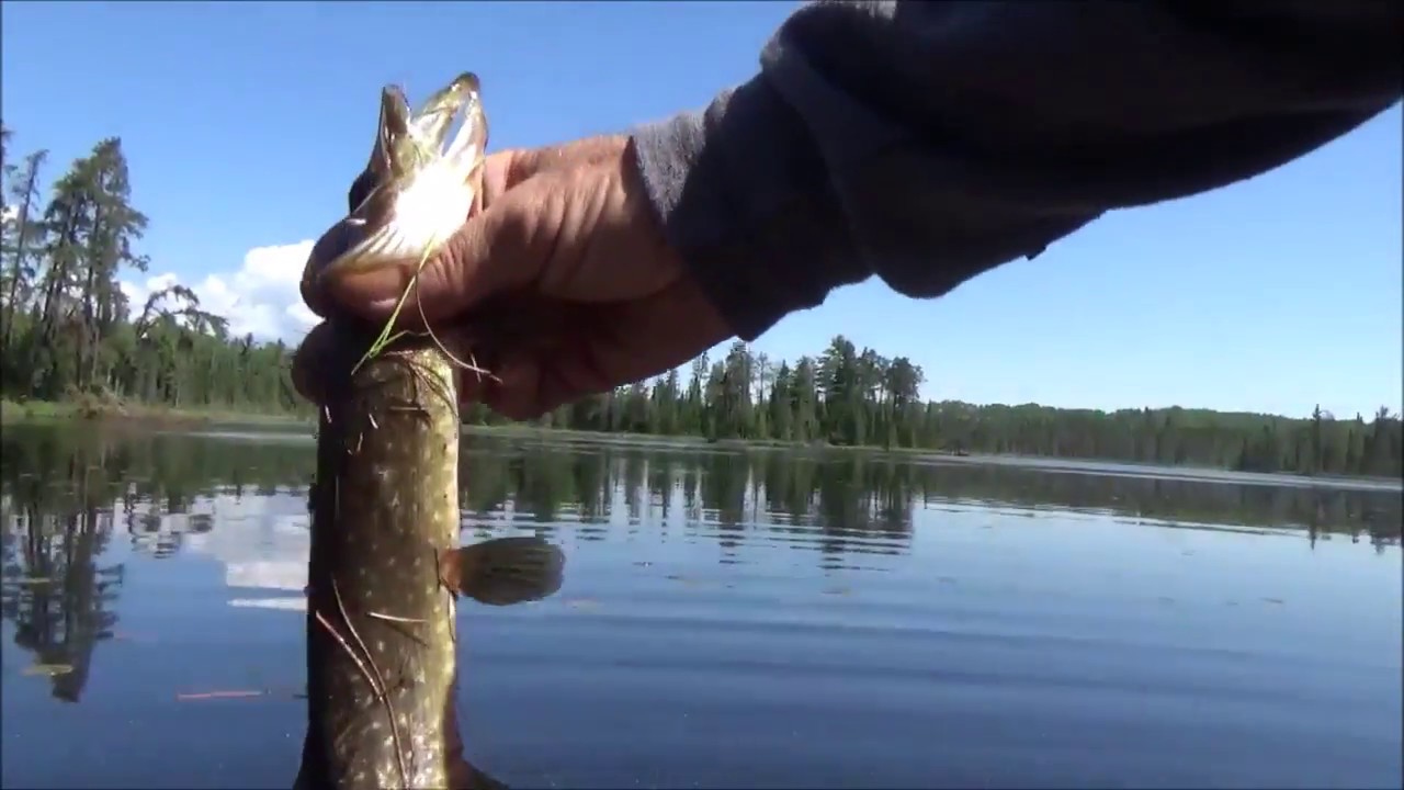 THE TENT. Late Spring Adventure. Fishing. Cooking. Backwoods Cabin and More.