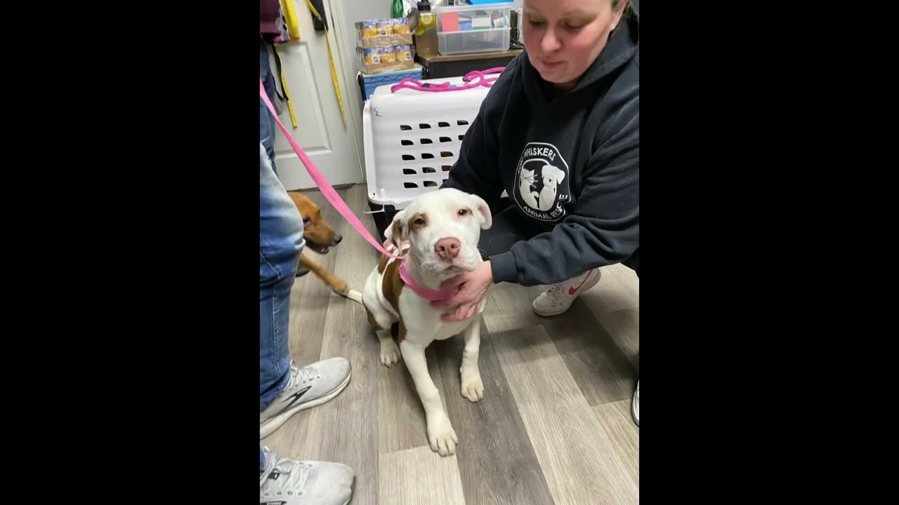 Year End 2025 - 287 Lives Saved!!
