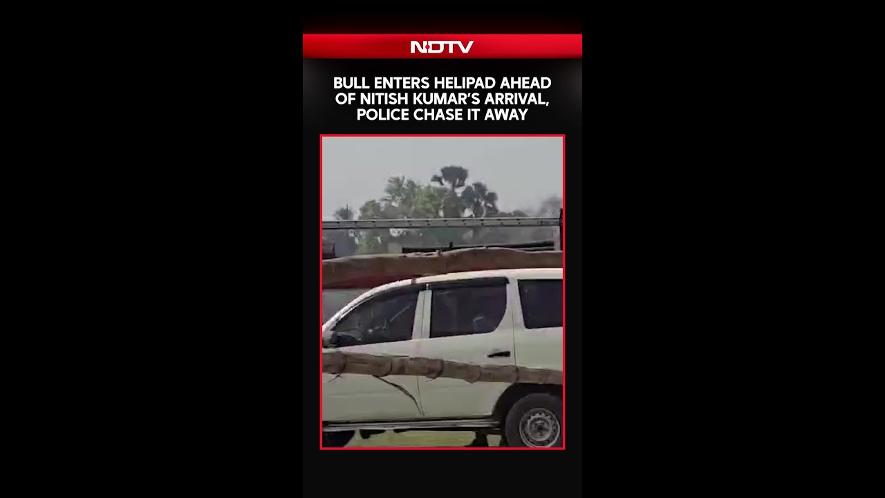 Viral Video | Bull Enters Helipad Ahead Of Nitish Kumar&rsquo;s Arrival, Police Chase It Away