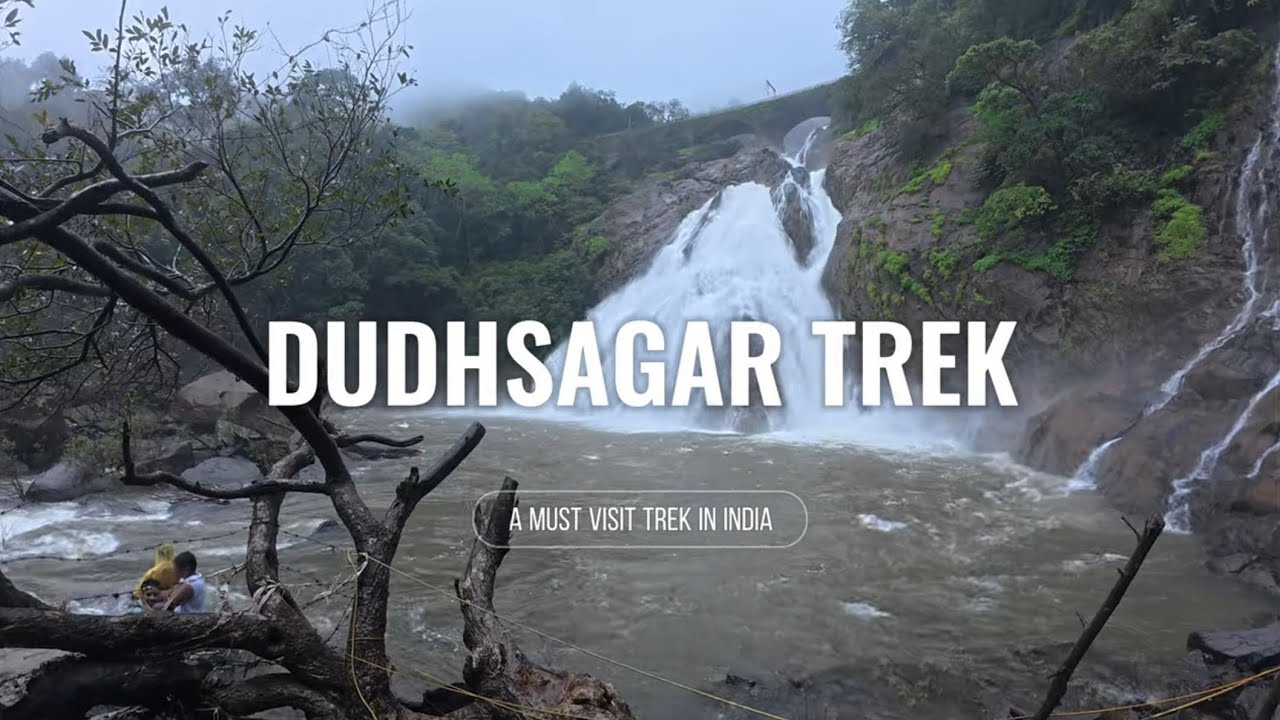 Dudhsagar Waterfall Trek 🌿🚂 | Hidden Adventure in Goa 🏞️ | Ultimate Travel Guide | 🇮🇳