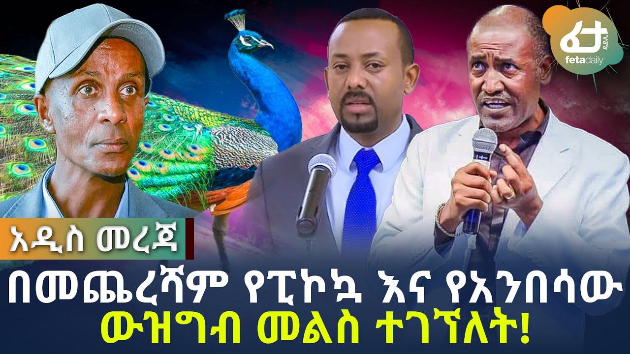 በመጨረሻም የፒኮኳ እና የአንበሳው ውዝግብ መልስ ተገኘለት! | Ethiopia