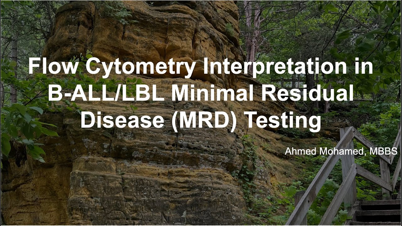 Flow Cytometry Interpretation in B-ALL/LBL Minimal Residual Disease Testing