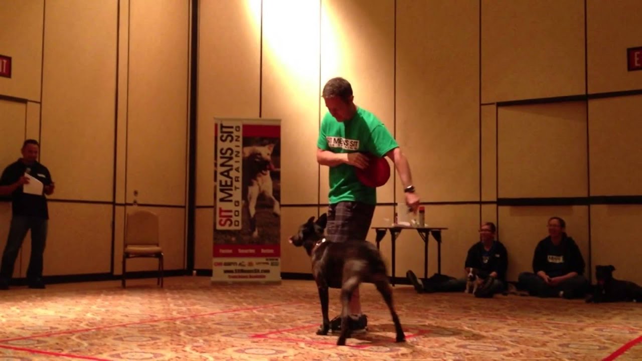 Troy and His Dutch Shepherd, Jezebel, Competing in a 10x10 Booth Challenge in Las Vegas