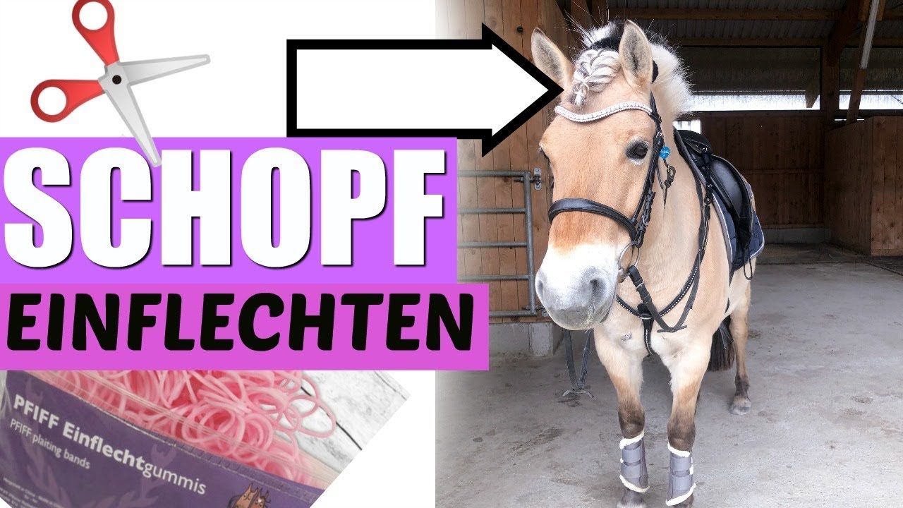SCHOPF PFERD HAARE EINFLECHTEN EINFACH UND SCHNELL FLECHTFRISUR