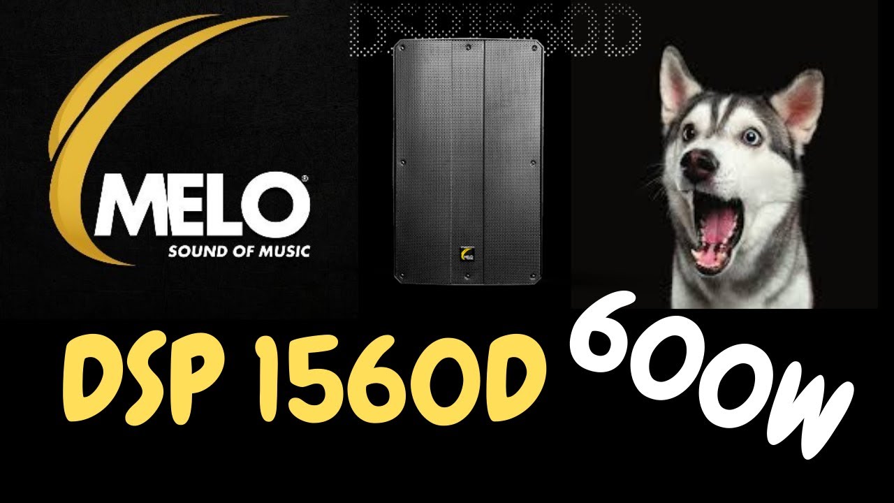 Bafle Melo Dsp1560 Opinion y funciones