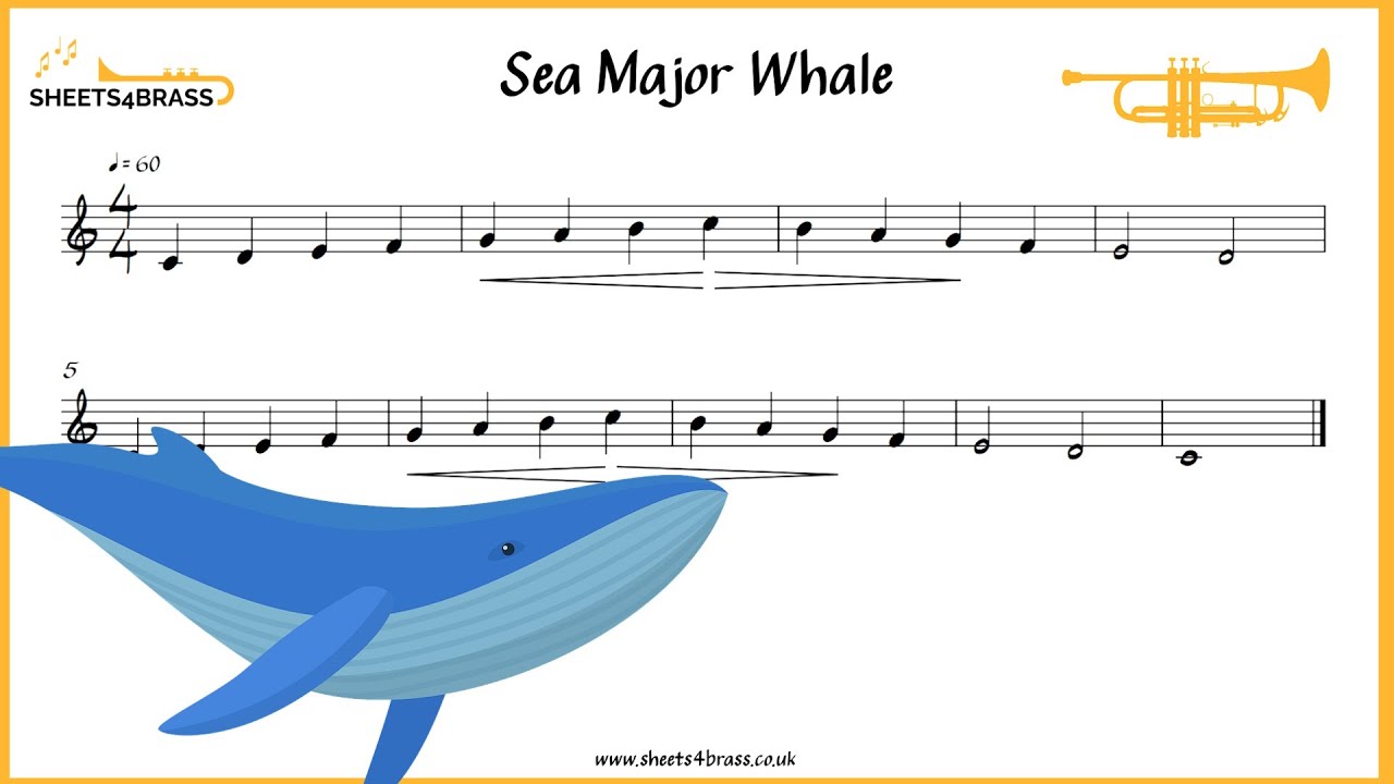 Sea Major Whale - Trumpet Solo with Sheet Music and Play Along