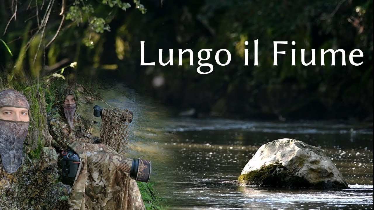 Fotografia Naturalistica - Appostamento lungo il Fiume