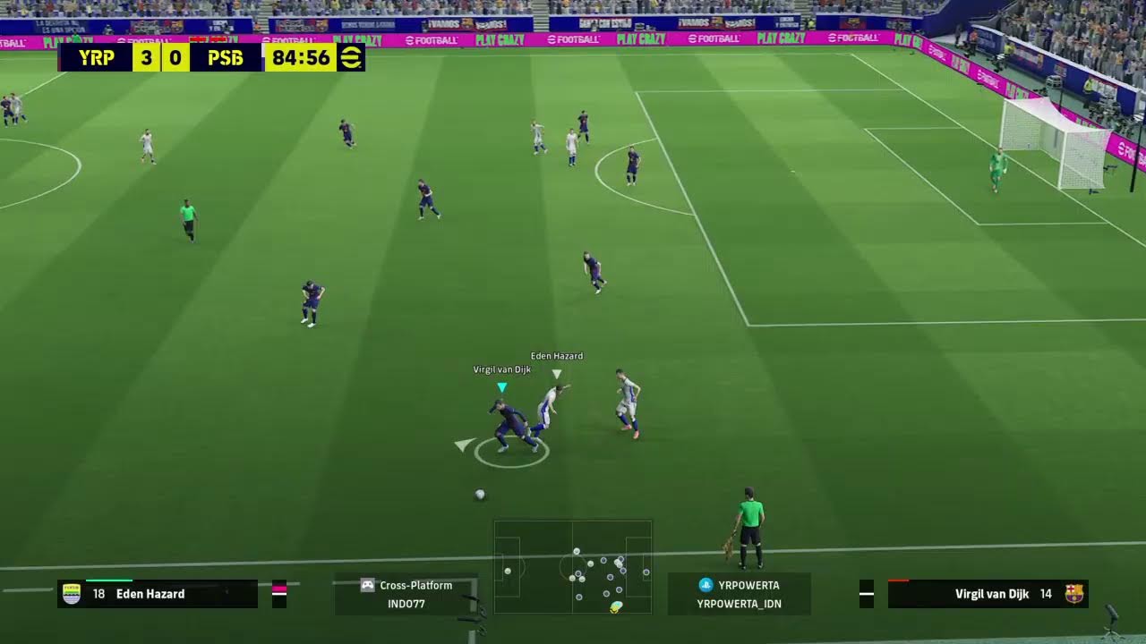 AMATEUR VS EVERYBODY 