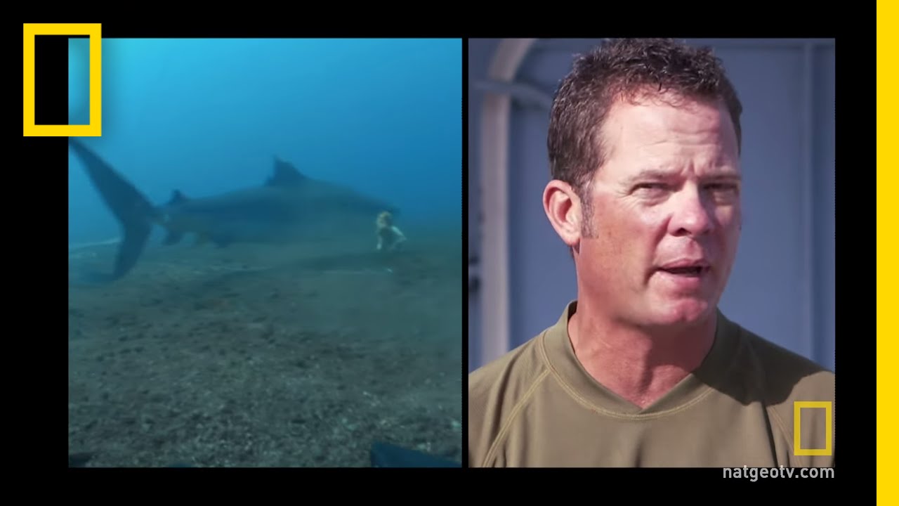 To Catch a Shark | Shark Men