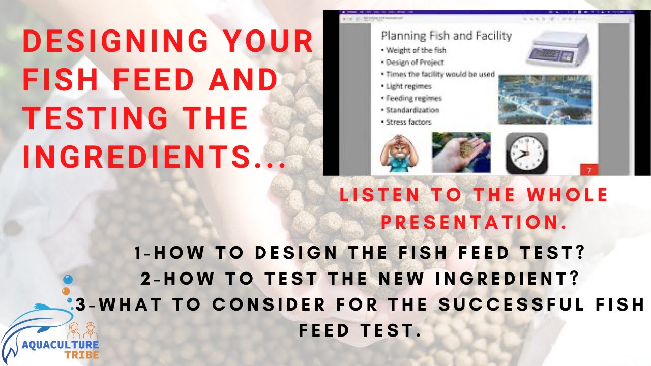 Designing your fish feed and testing the ingredients.listen to the whole presentation.