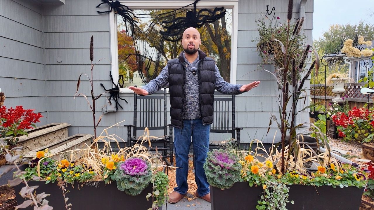 Final Fall Container Update and What Still Looks Good After Frost