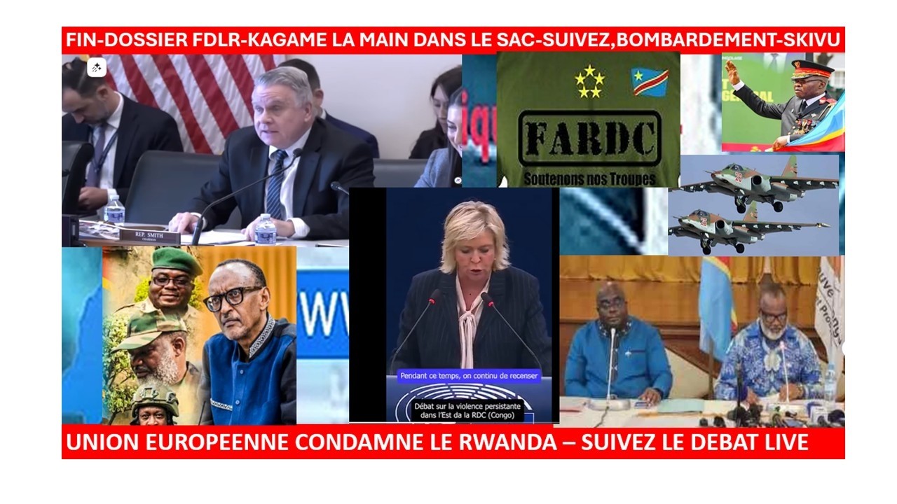 14/2/SUIVEZ USA-DOSSIER FDLR KAGAME MAIN DANS LE SAC, UNION EUROPE SUR LE RWANDA, COMBATS AU S-KIVU