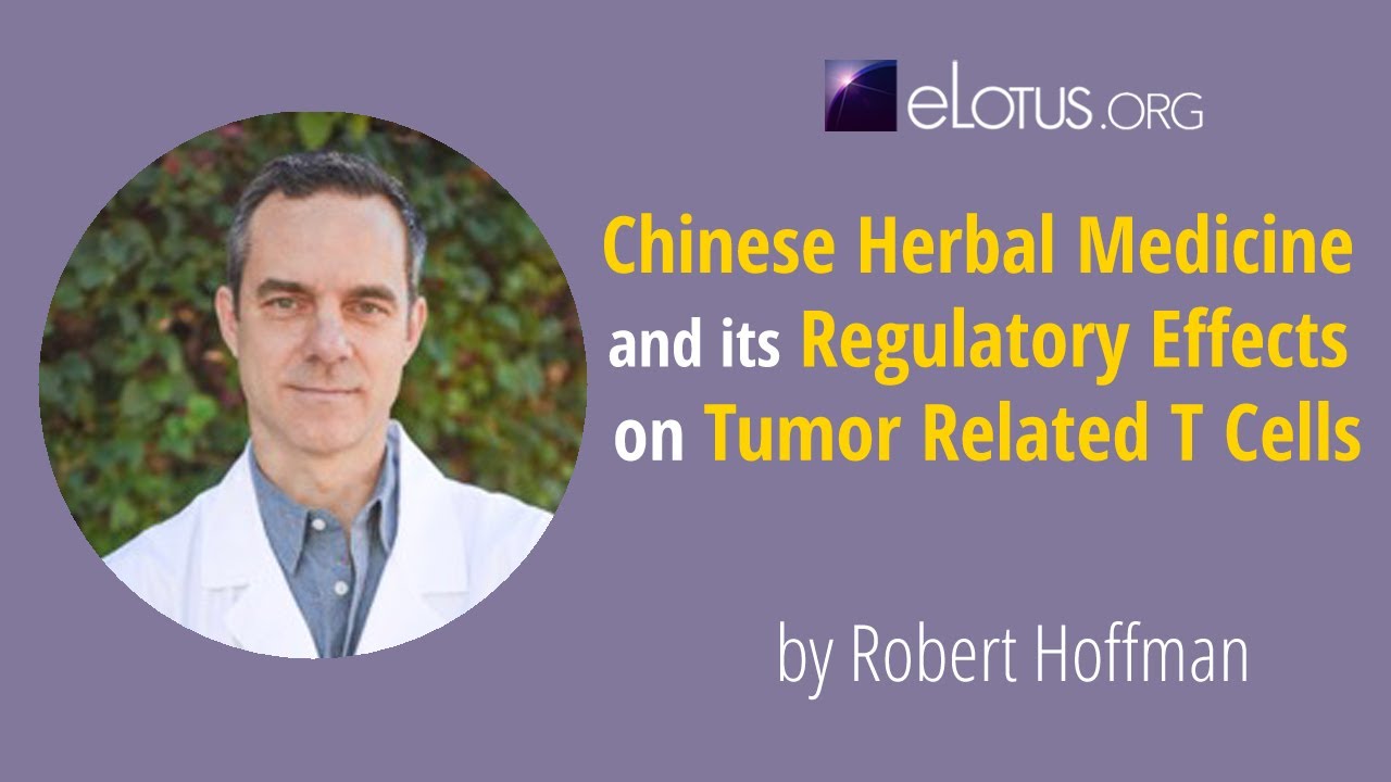 Chinese Herbal Medicine and Its Regulatory Effects on Tumor Related T Cells
