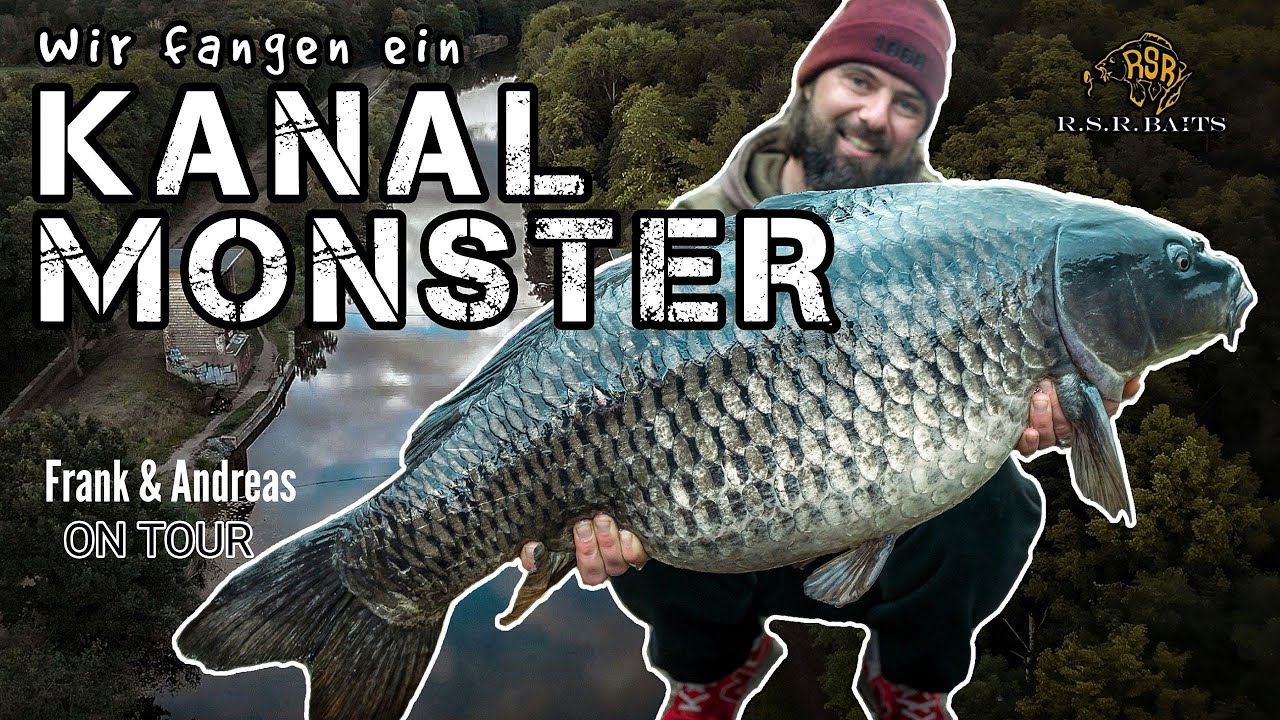 Karpfenangeln | Der Monsterschuppi aus dem Kanal!!! #urbanfishing