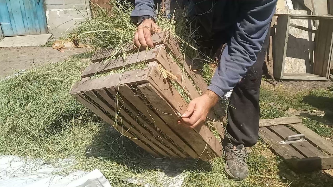 Как самому заготовить сено в тюках козам.