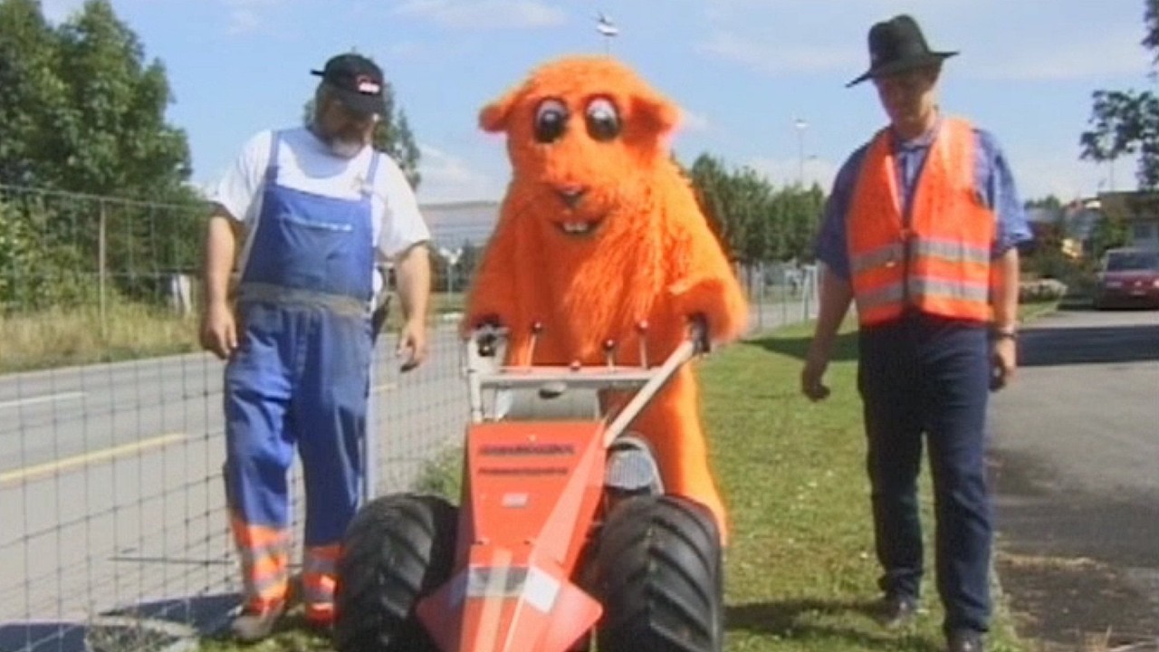 Murmi beim Bauamt