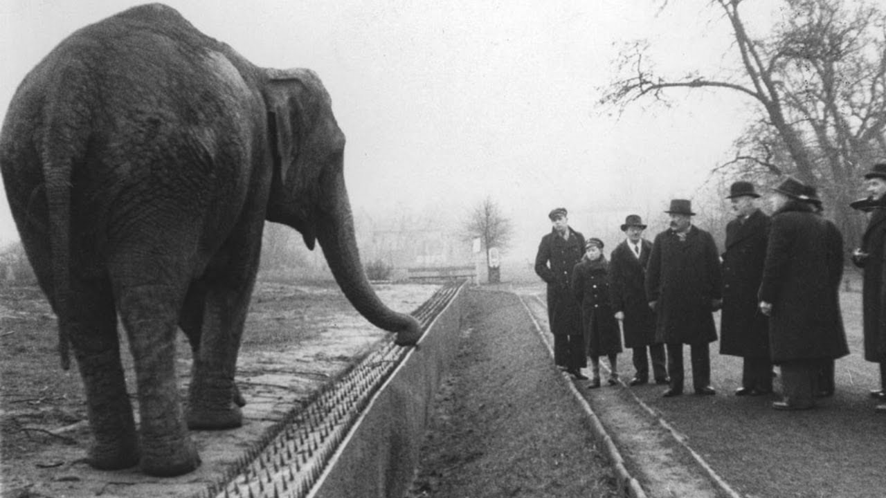 Nazis Never Knew the Warsaw Zoo Was Hiding Hundreds of Jews Beneath Their Feet