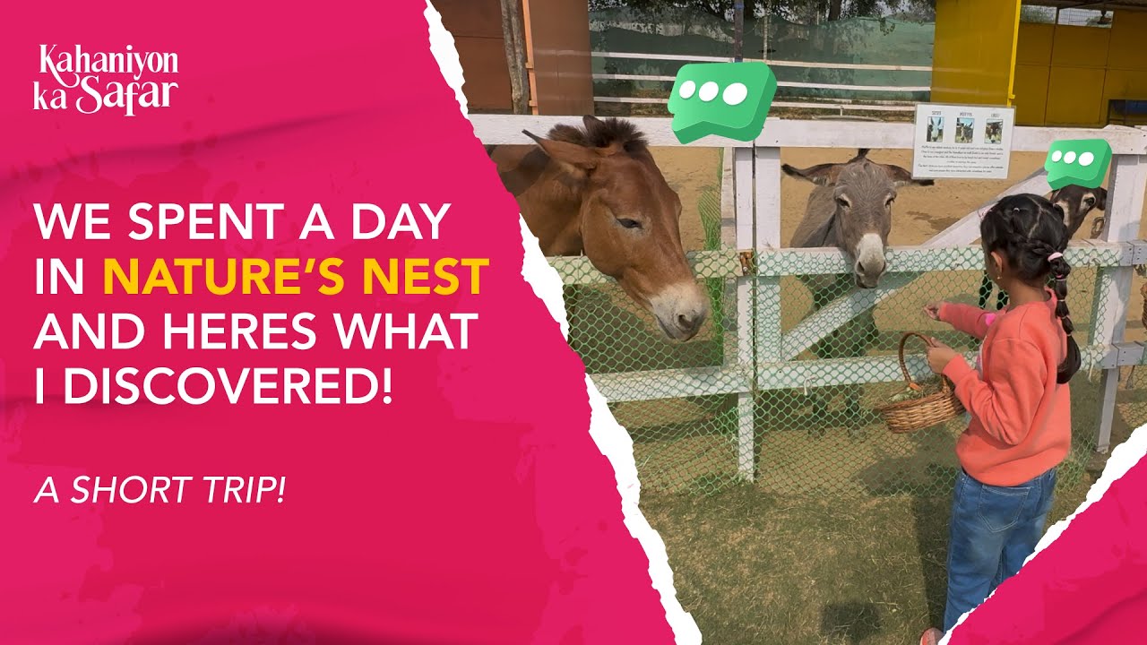 Nature's Nest - The Petting Farm | Aarya&rsquo;s Cutest Day at Gurgaon&rsquo;s Hidden Animal Farm | Jayam Bansal