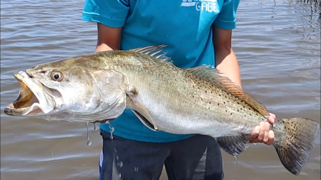 MONSTER 30 INCH TROUT & FLOUNDER Catch Clean and Cook