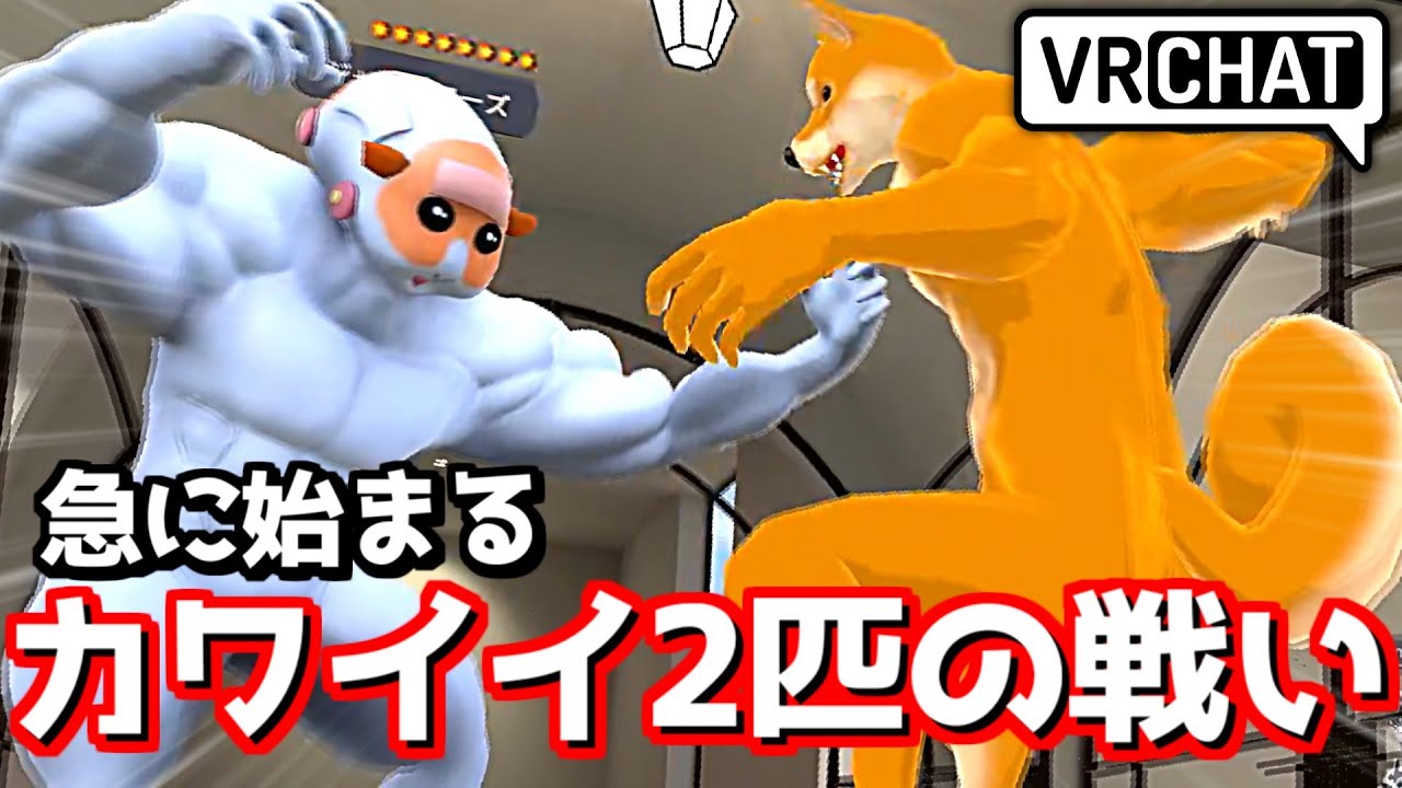 【VRChat】カワイイ2匹による熱き戦いが始まったんだがwww