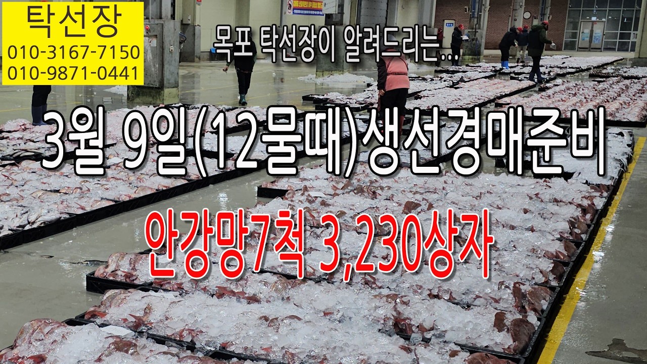3월 9일(12물) 참돔, 병어, 밍돔, 농어, 백조기, 아귀, 가자미, 붉은메기, 갈치, 잡어, 생선 경매 준비 합니다. (탁선장 남도농수산 생선카페 010 3167 7150)