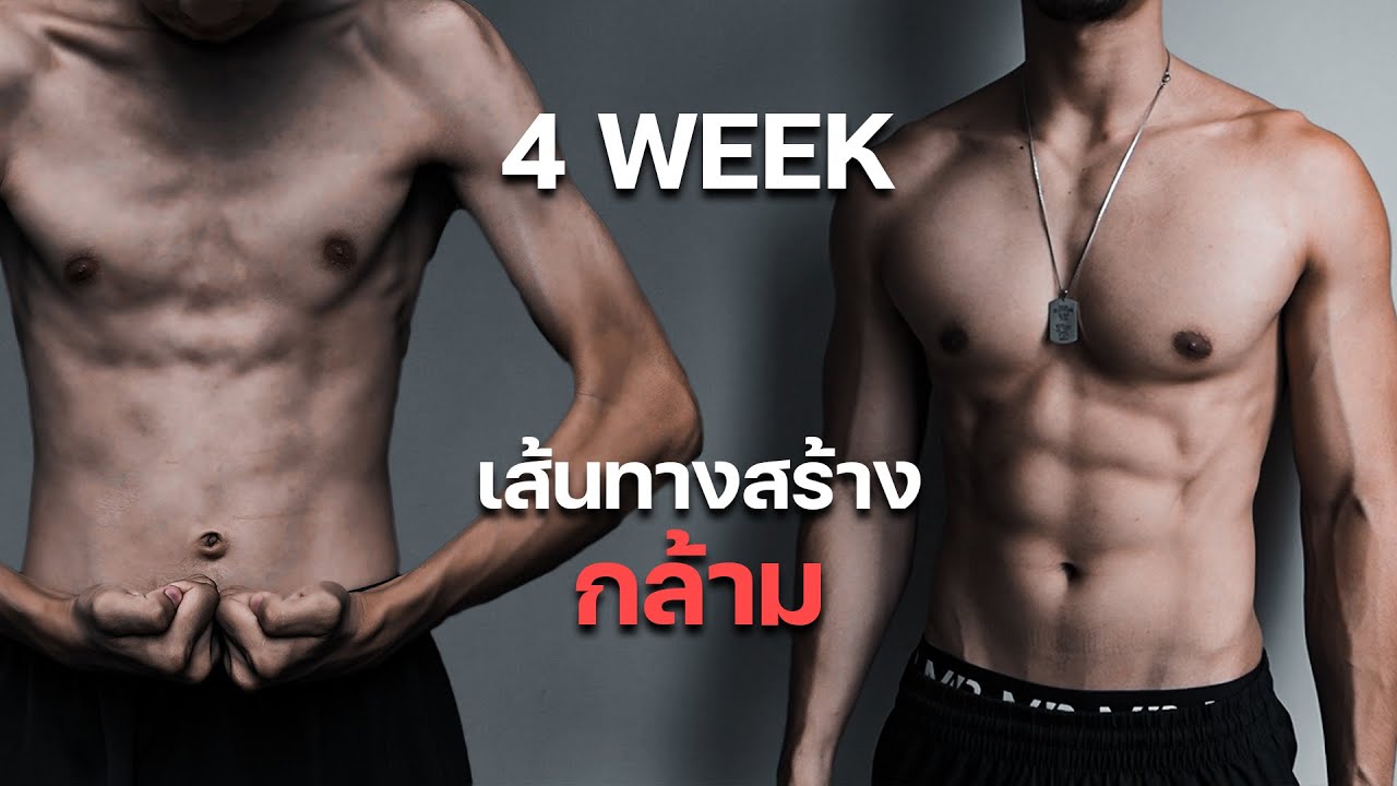 เส้นทางการสร้างกล้ามใน 4 สัปดาห์ มือใหม่เริ่มง่าย มีกล้ามแน่นอน 100%