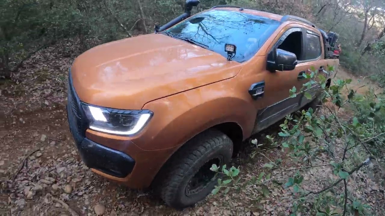 Rando Verdon 4x4