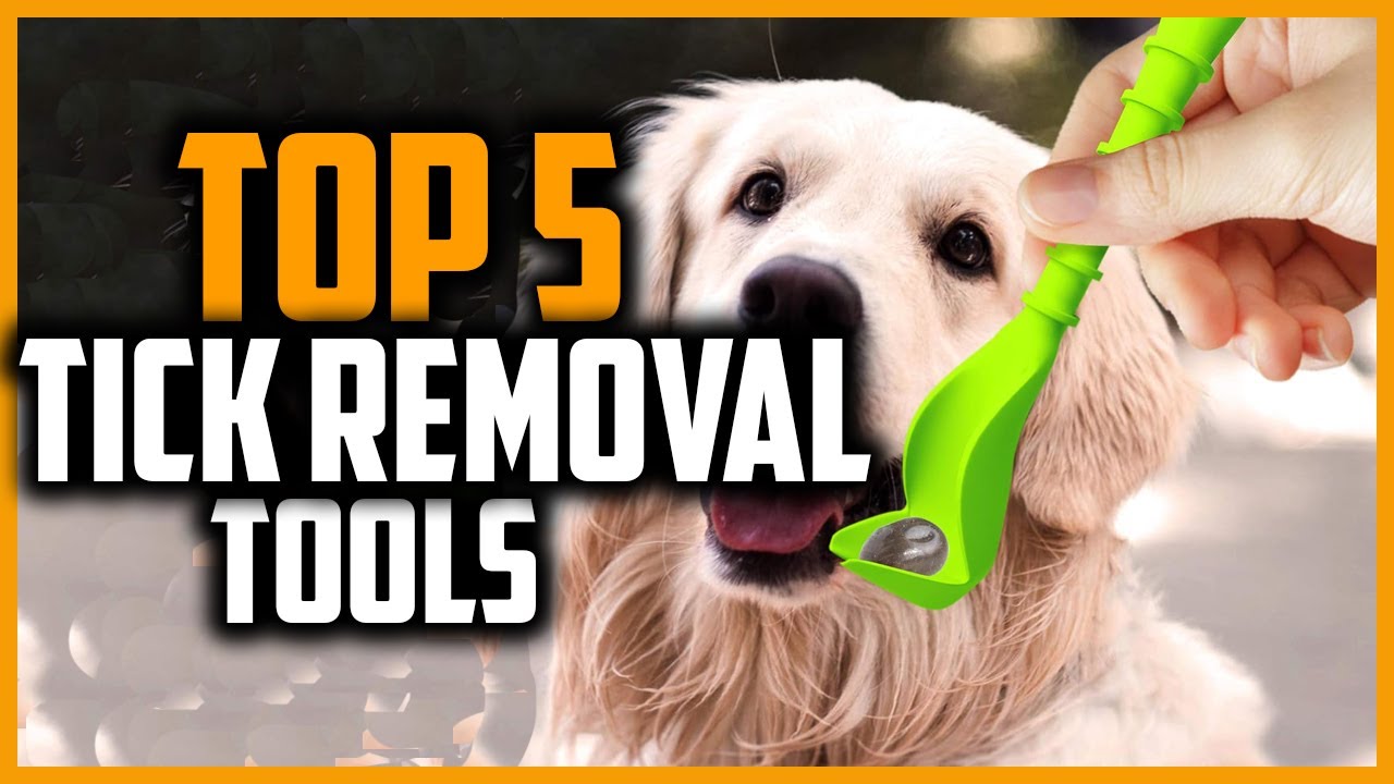 ✅Top 5 Best Tick Removal Tools for Dogs 2024 Reviews