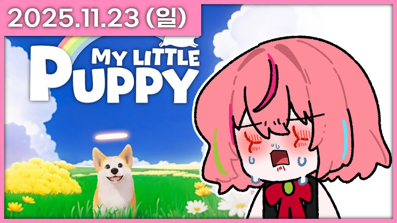 [ 2025/11/23 ] 너무 울어서 눈이 띵띵 부었어요 [마이리틀퍼피] | 나나 다시보기