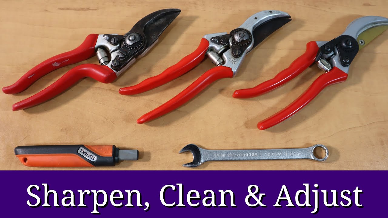 Sharpen Pruners (Bypass Pruners & Loppers)